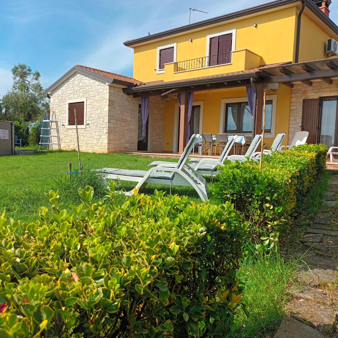 House Dolly, Bild 2