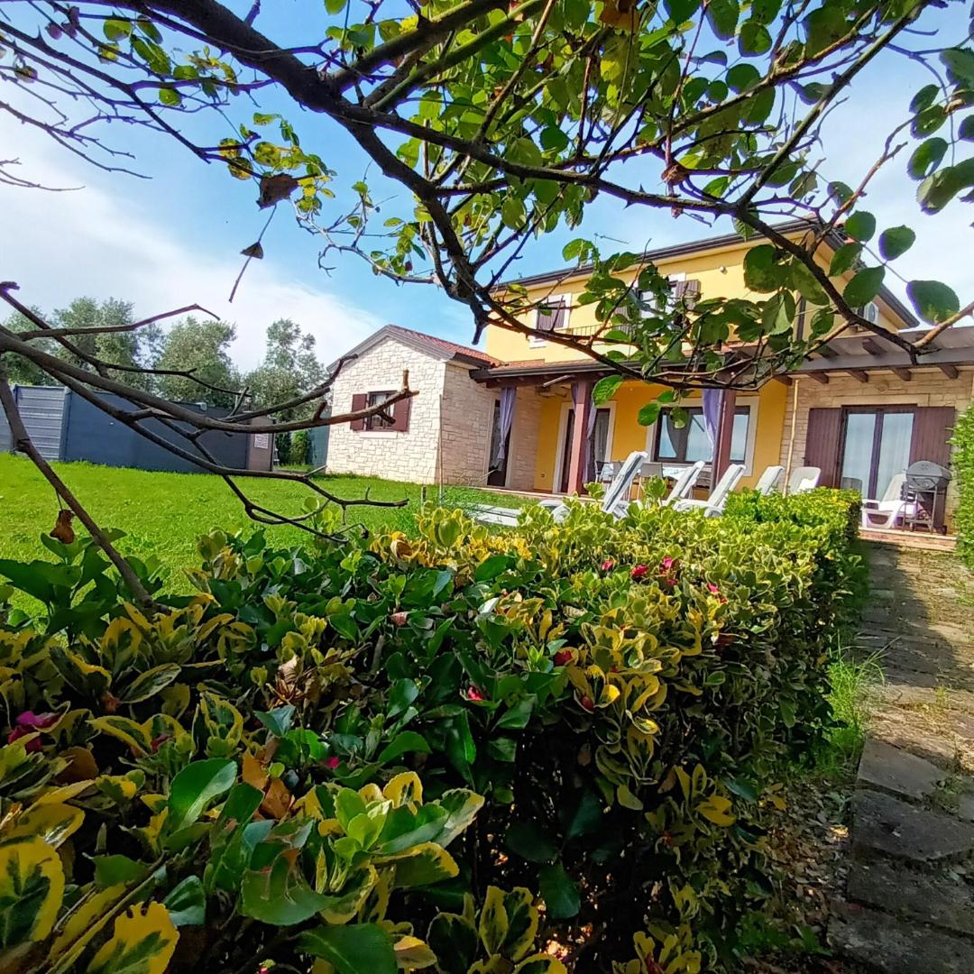House Dolly, Bild 5